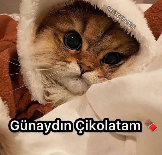 Günaydın
