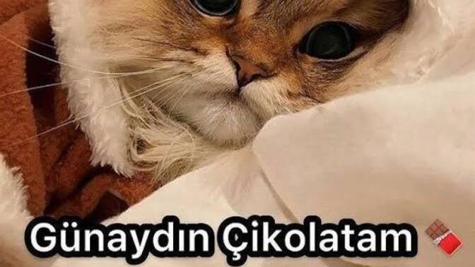 Güne hangi mesajla başladınız?