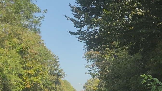 Günaydın, planınız nedir?