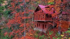 Sonbahar geldi. 🍁 Yarın 1 eylül mutlu musunuz?