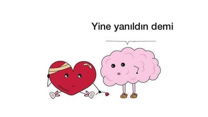 Arkadaşlar, sizce aşkta "mantık" mı daha ağır basmalı yoksa "duygular" mı? Peki arada kalsanız hangisini dinlersiniz?