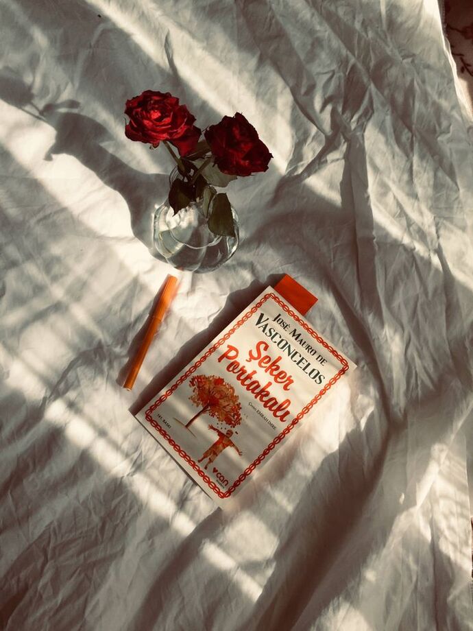 Hangi kitap karakteri size benziyor?