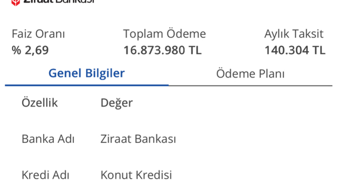 Bu devirde ev almaktansa kiraya çıkmak daha mantıklı değil mi?
