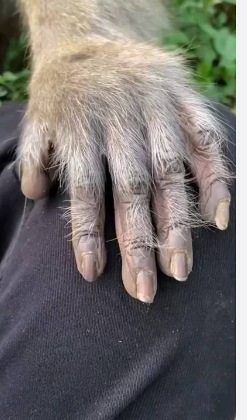 Elleri güzel olan erkek önde mi sayılır?