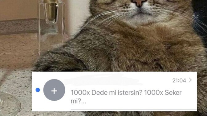 Size de saçma numaralardan tuhaf mesajlar geliyor mu?