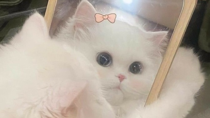 Takıntılı biri misiniz yoksa umursamaz mı?