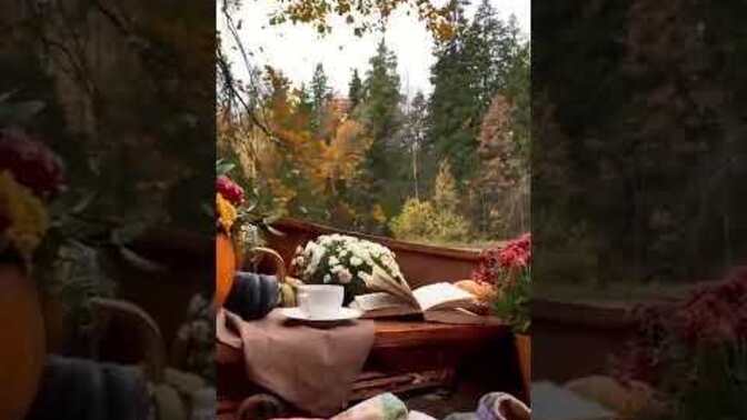 Sonbahar geldi 🍁🍂🌾 sonbahar sizi de hüzünledirir mi ?