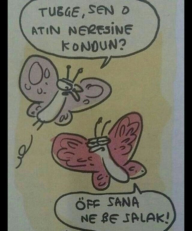 Tuğçe olayı yanlış anladın geri gel valla midem kötü bakkkk