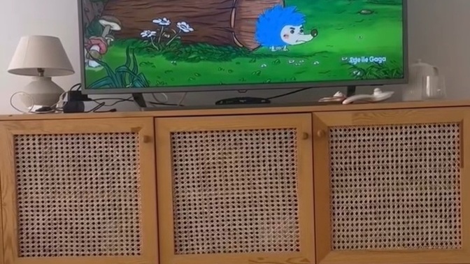 Siz hiç çizgi film bağımlılığı olan kedi gördünüz mü ki yicem ben bunu çok uysal🫠?