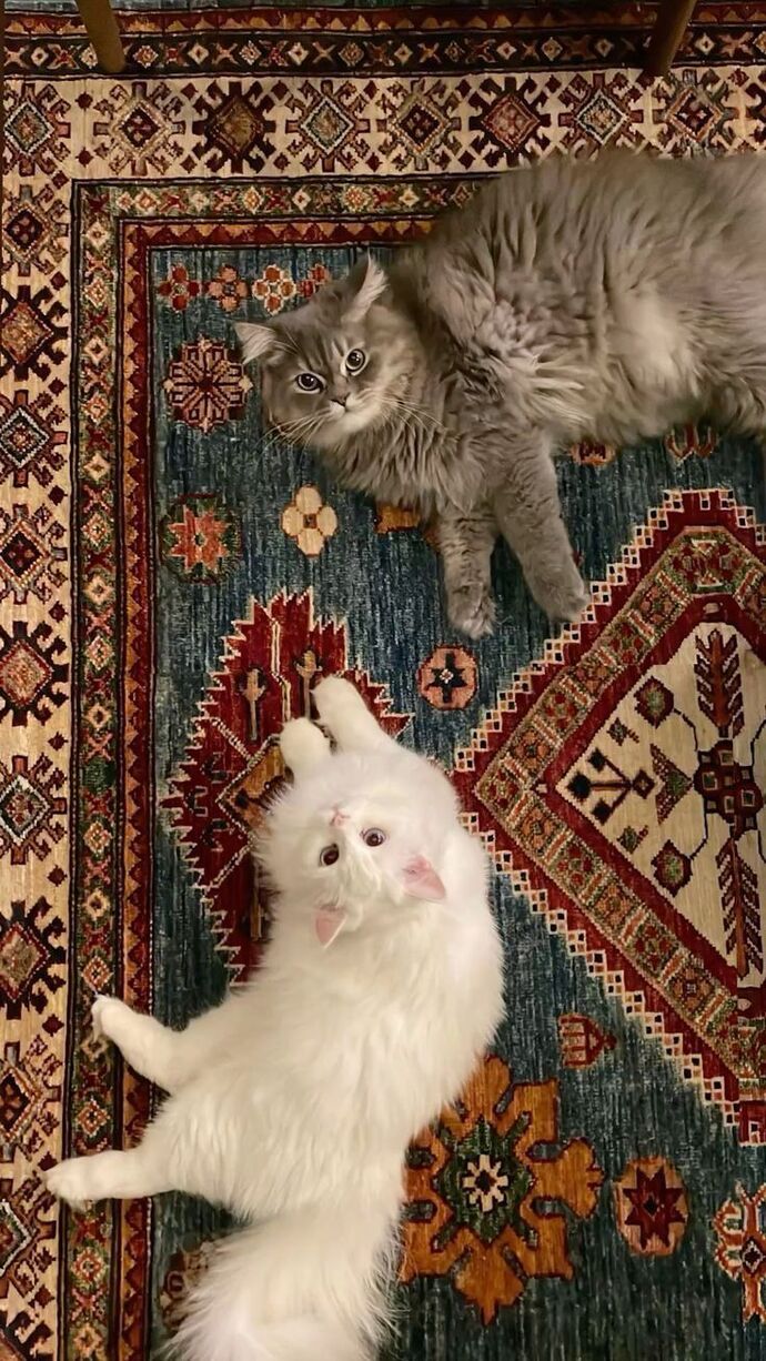 İnsanların seni övmesi mutlu mu eder yoksa rahatsız mı?
