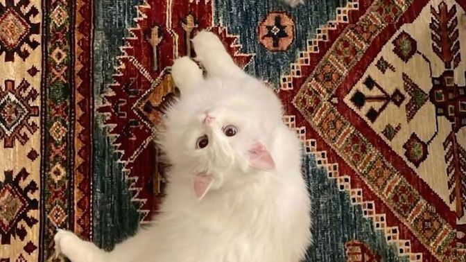 İnsanların seni övmesi mutlu mu eder yoksa rahatsız mı?