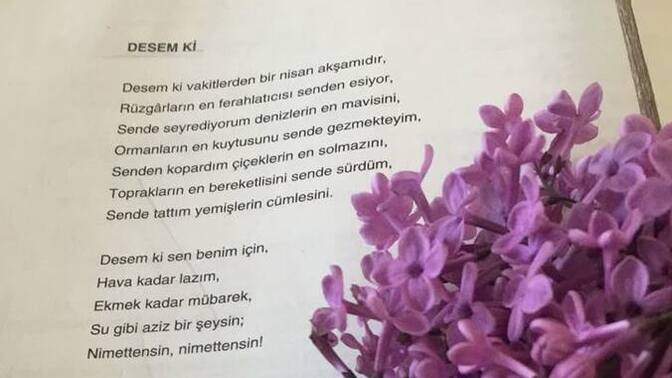 Şiir dinletisi sever misiniz?
