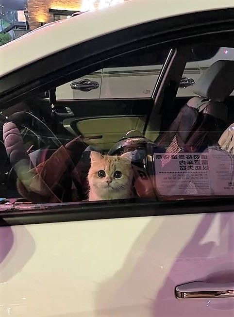 Evlenilecek erkek nasıl olmalı?