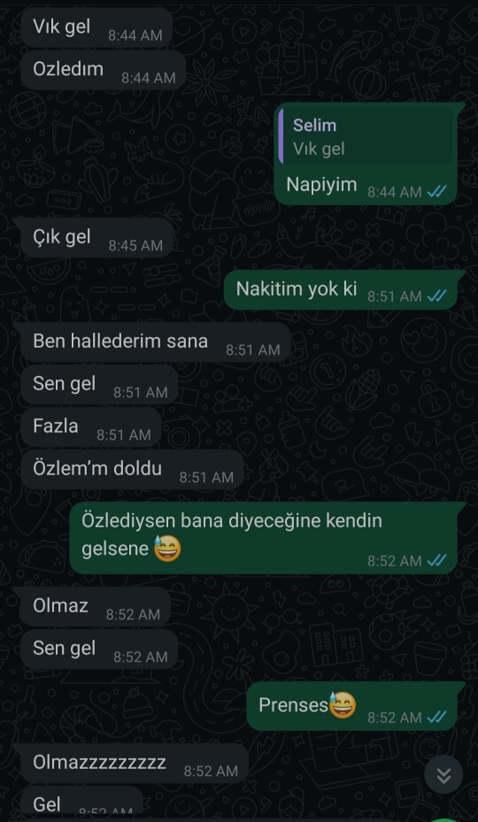 Sizce prenses erkek davranışı değil mi bu?