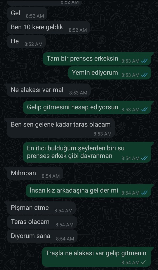 Sizce prenses erkek davranışı değil mi bu?