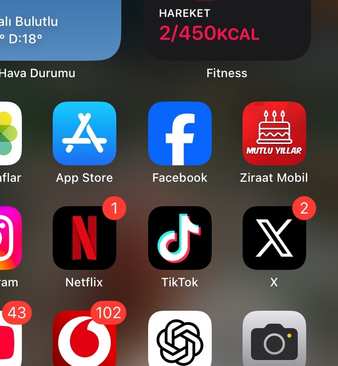 Doğum günününuzun kutlanmasını severmisiniz?