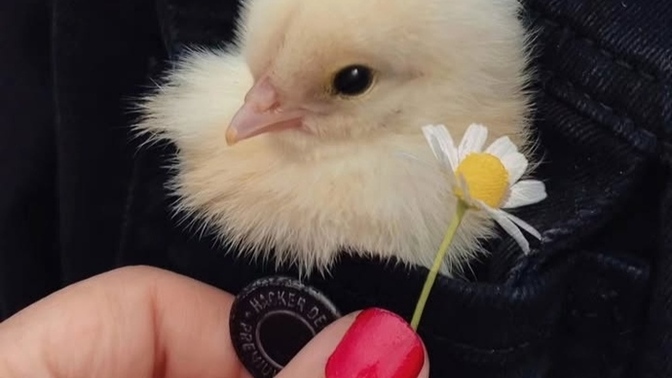 Sizi aşk mı değiştirir yoksa paramı 🖤?