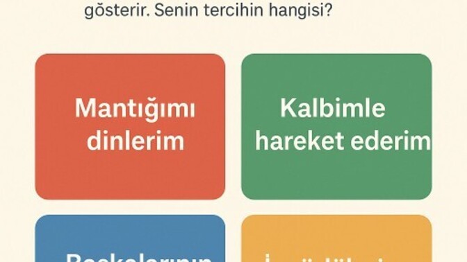 Hayatında karar alırken hangi kişilik yönün daha baskındır?