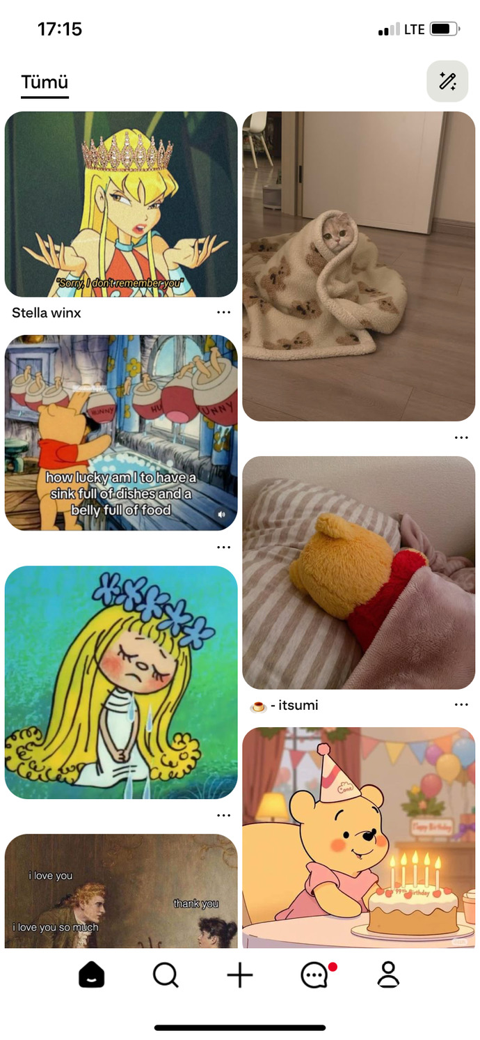 Pinterest ekranınızda ne tür içerikler var?