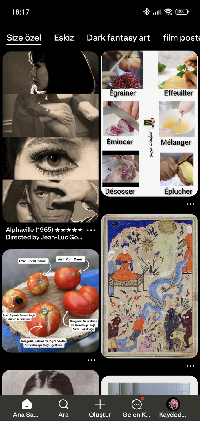 Pinterest ekranınızda ne tür içerikler var?