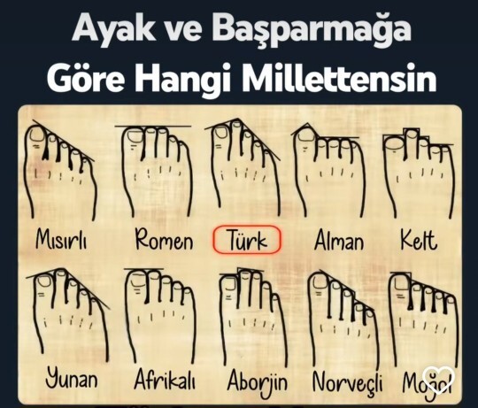 Ayak parmaklarına göre hangi millettensin?