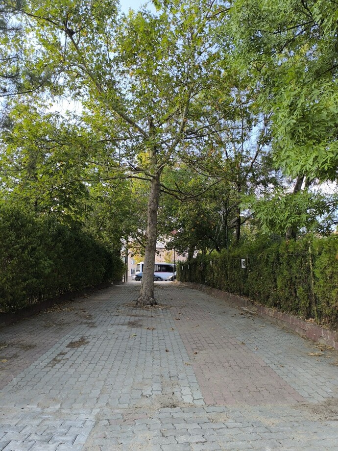 Böyle sokakları sever misiniz?