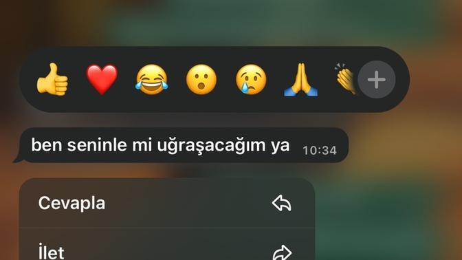Bende mı sorun var ne yapardınız?
