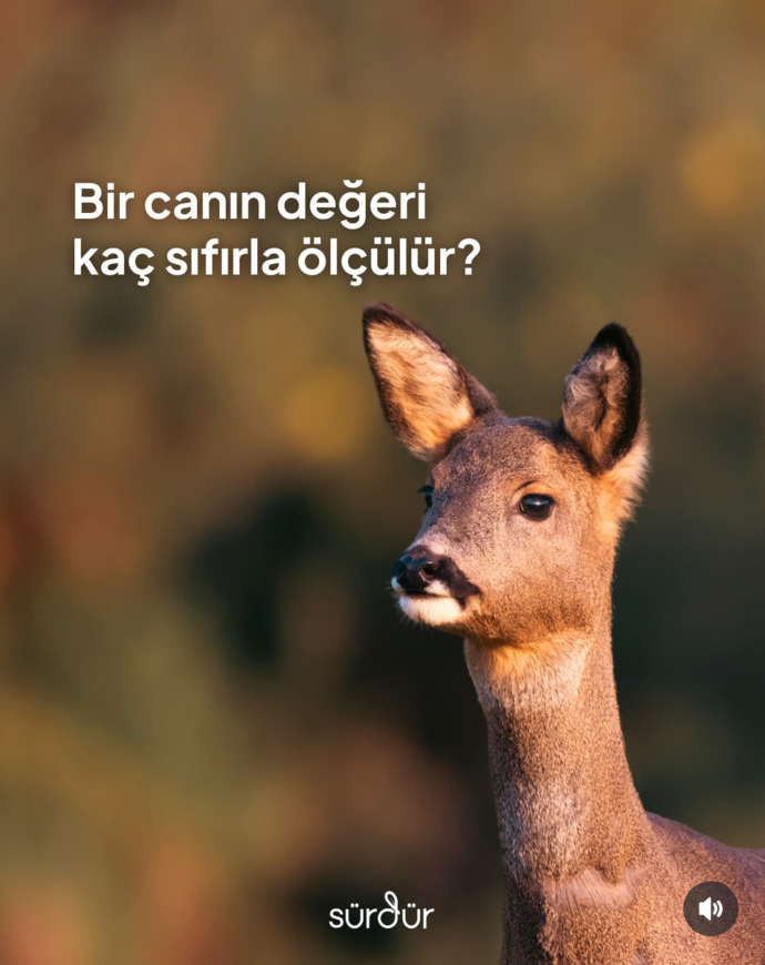 Bu erkeklerde niye hiç vicdan parçası yok işine gelince duygusalız demesini bilirler?