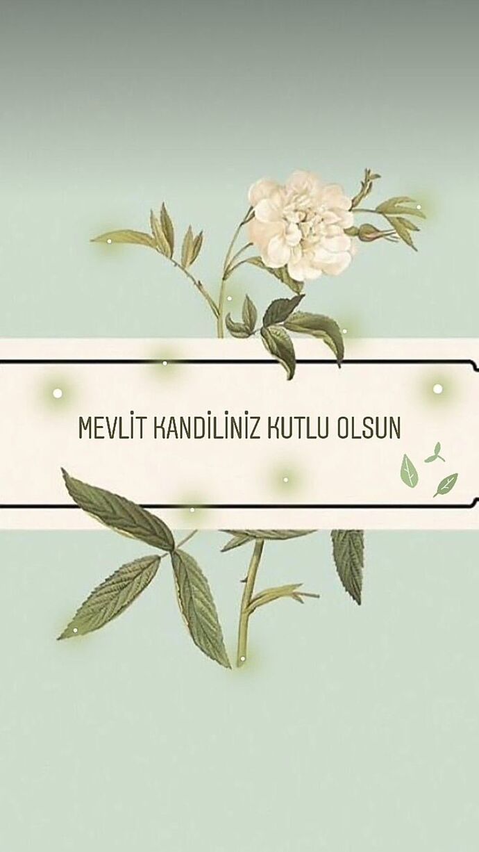 Bu gün kandil, Siz bu mübarek geceyi nasıl değerlendiriyorsunuz?