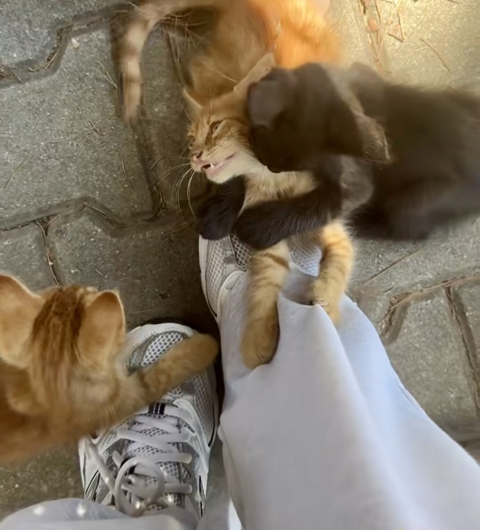 Aşık olduğunda nasıl birine dönüşürsün?