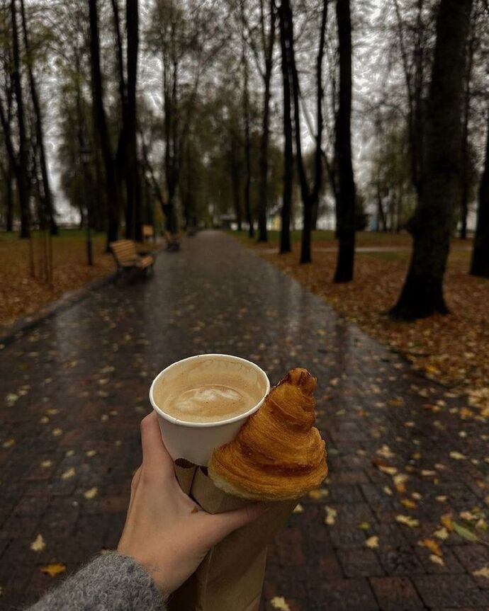 Eylül geldi 🍂 Sizce ağaçlar yaprak dökerken hüzünlü mü, yoksa heyecanlı mı😅?