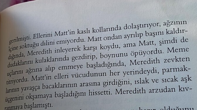 Cinsel içerikli kitaplar okur musunuz?