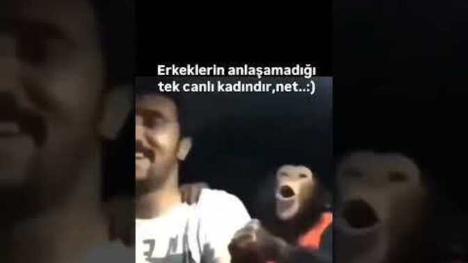 Erkeklerin anlaşamadığı tek canlı kadınlar mıdır?