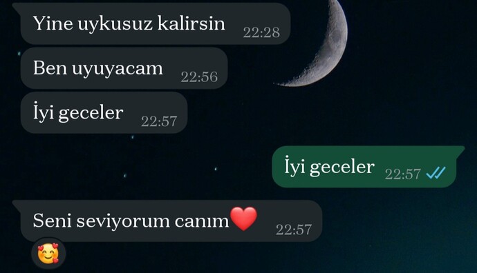 Ben henüz o kadar aşk seviyesinde değilim. Sevgililikte hemen ilk haftada seni seviyorum diyen erkekten olur mu?