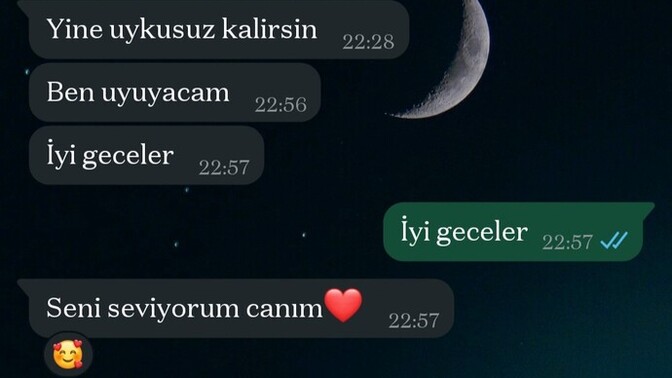 Ben henüz o kadar aşk seviyesinde değilim. Sevgililikte hemen ilk haftada seni seviyorum diyen erkekten olur mu?