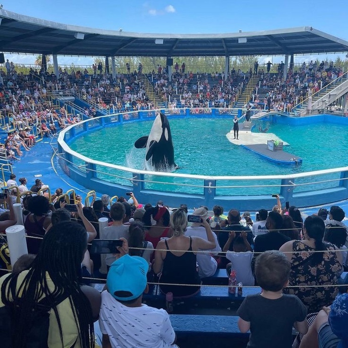 Seaworld Türkiye’de olsa gider miydiniz?