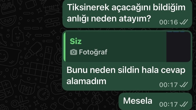 Elamana bak ya üç günde mesaj atıyor birde yaptıklarına bakın ya?
