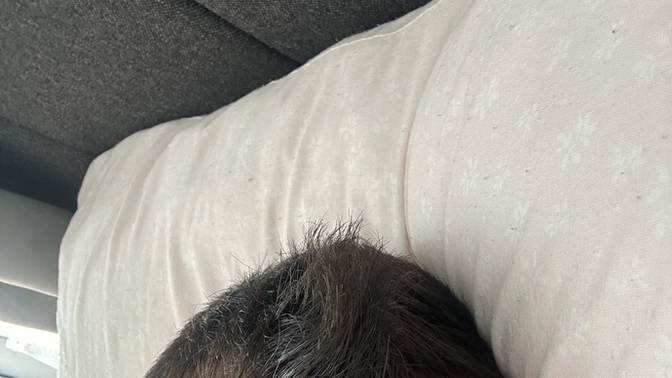 2 sene içinde ki çöküş nasıl geri çıkar bilen yazar mı lütfen?