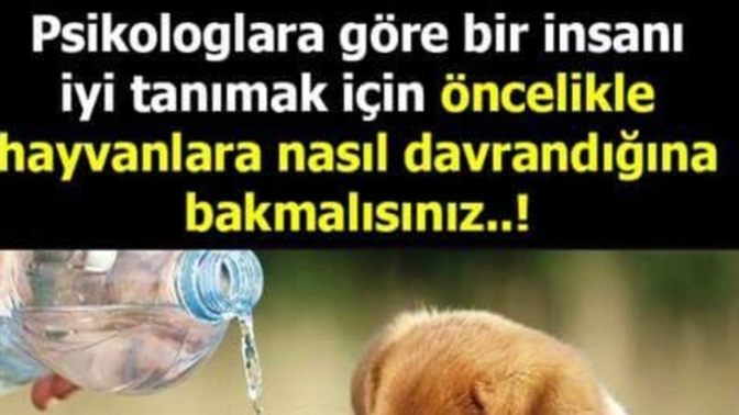 Hayvanları mı daha çok seversiniz? İnsanları mı?