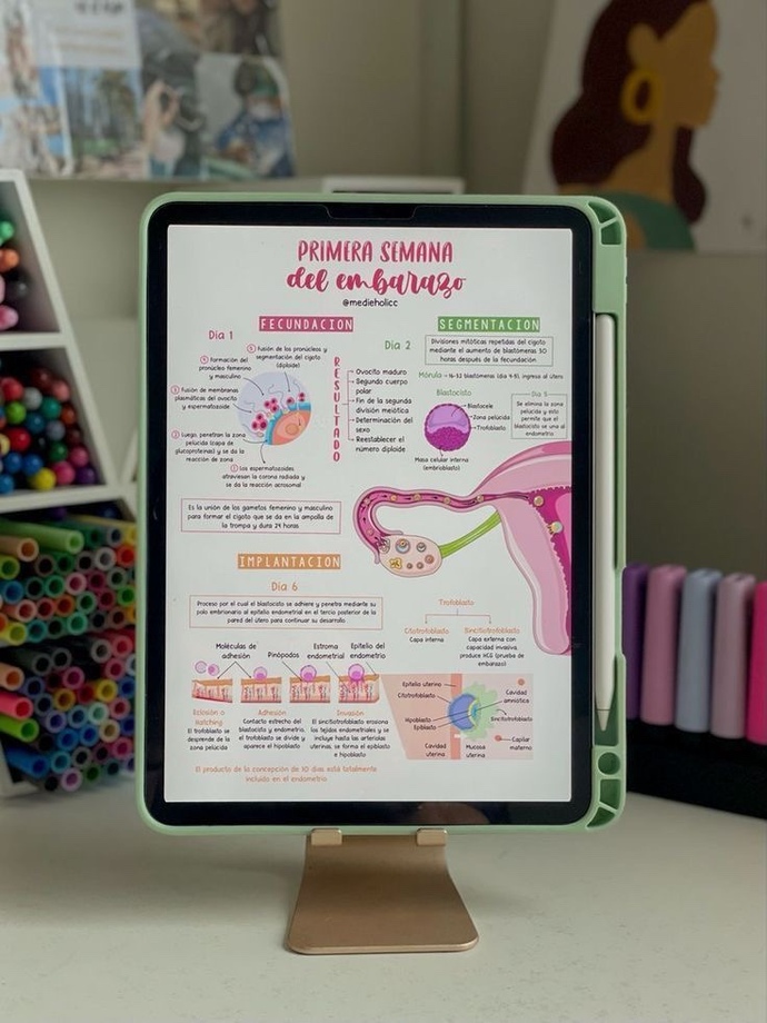 arkadaşlar ders çalışmak, en çok test çözmek için iPad alıcam yamuluyor diyorlar o yüzden korktum hangisini almalıyım?