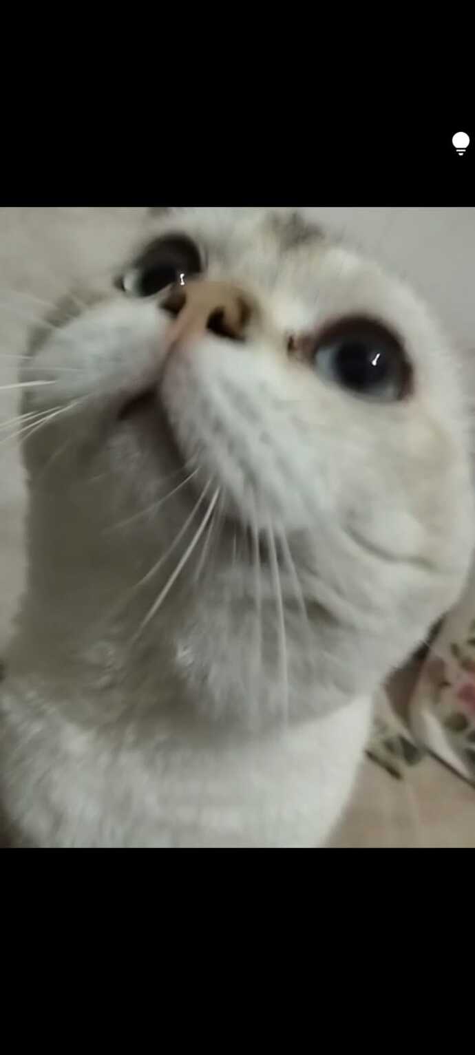 Evcil hayvanı olan var mı?