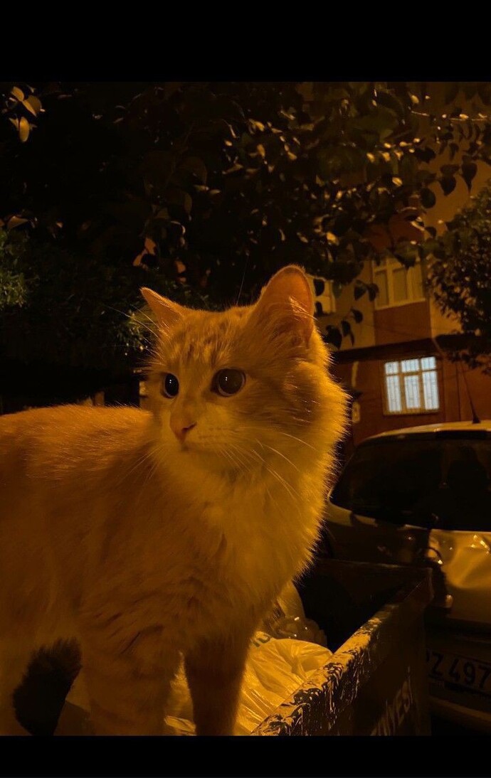 En son ne zaman, ne için şaşkınlık yaşamıştınız? Hatırlıyor musunuz?