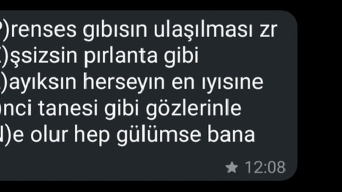 Erkeklerin ulaşılması zor kadınlara olan merakı neden? neden ulaşılması zor kadınlar?