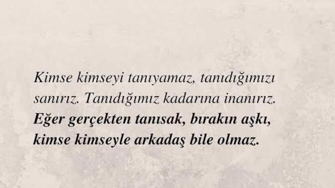 Sorduğunuz Sorulara Aldığınız Cevaplar Sizi Tatmin Etti Mi?