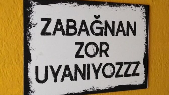 Zabağnan zor uyanır mısın?