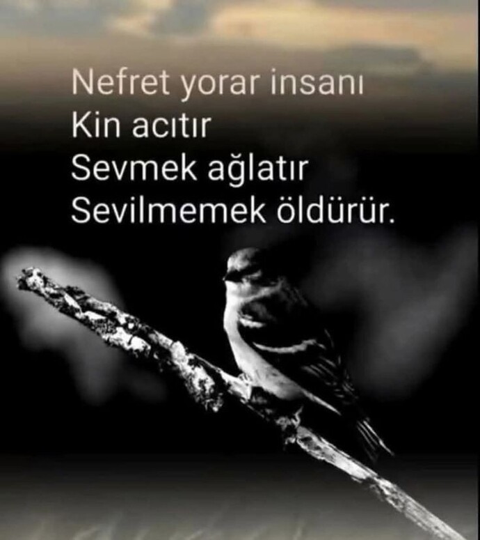 Duygularınızı kontrol etmekte iyimisinizdir?