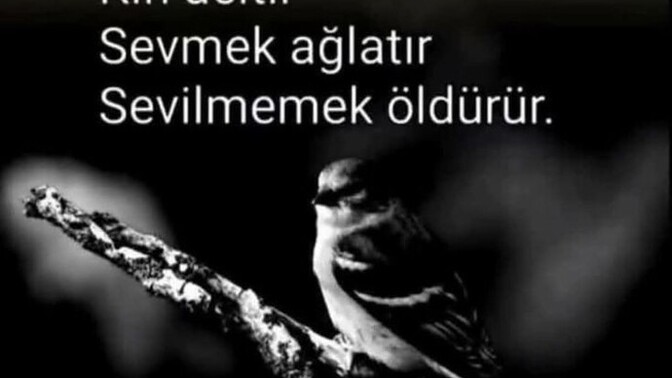 Duygularınızı kontrol etmekte iyimisinizdir?