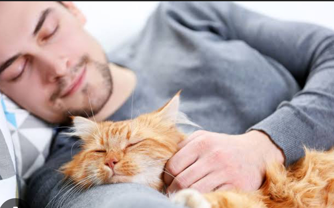 Sevgiliye sarılarak uyumakmı, kedın köpeğinle uyumakmı daha guzel🫠?