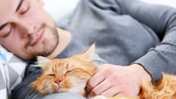 Sevgiliye sarılarak uyumakmı, kedın köpeğinle uyumakmı daha guzel🫠?
