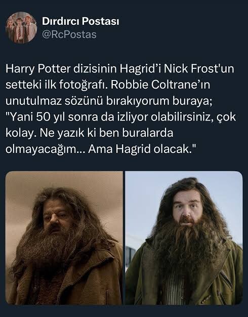 Yeni Harry Potter serisin de kitaplarda olmayan veya olup ama orjinal filmlerde yer almamış karakterleri görme ihtimalimiz nedir?
